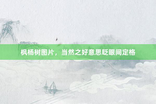 枫杨树图片,当然之好意思眨眼间定格