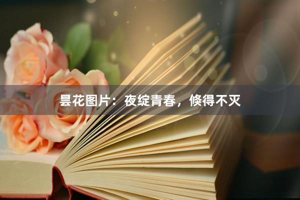 昙花图片:夜绽青春,倏得不灭