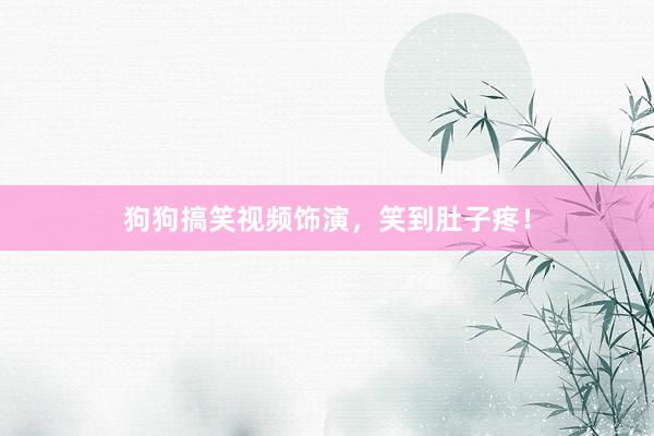 狗狗搞笑视频饰演，笑到肚子疼！